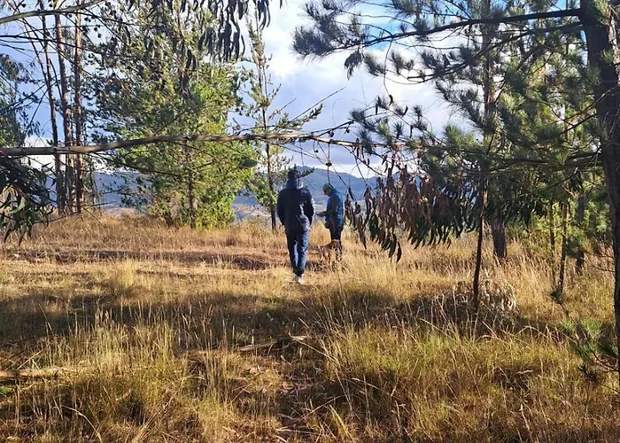 Weninger Urubamba